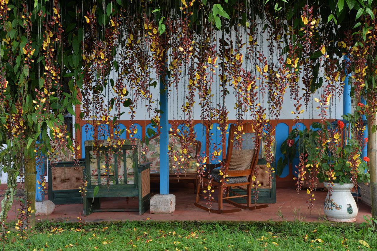 Balsora Hotel Boutique El Edén Exteriér fotografie